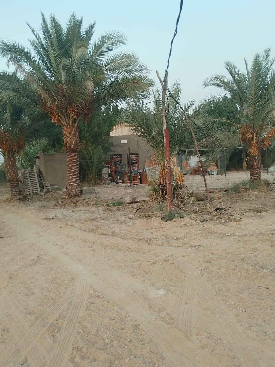 السلام عليكم عندي بيت مساحه مالته 600 متر مساحه بيت مبني 300 متر طابو زراعي سند 25 العنوان الديوانيه طريق السنيه السياحي قريب عل سكت القطار يبعد عن شارع العام  400 متر اكثر استفسار***********

