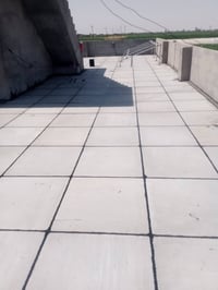07847406539