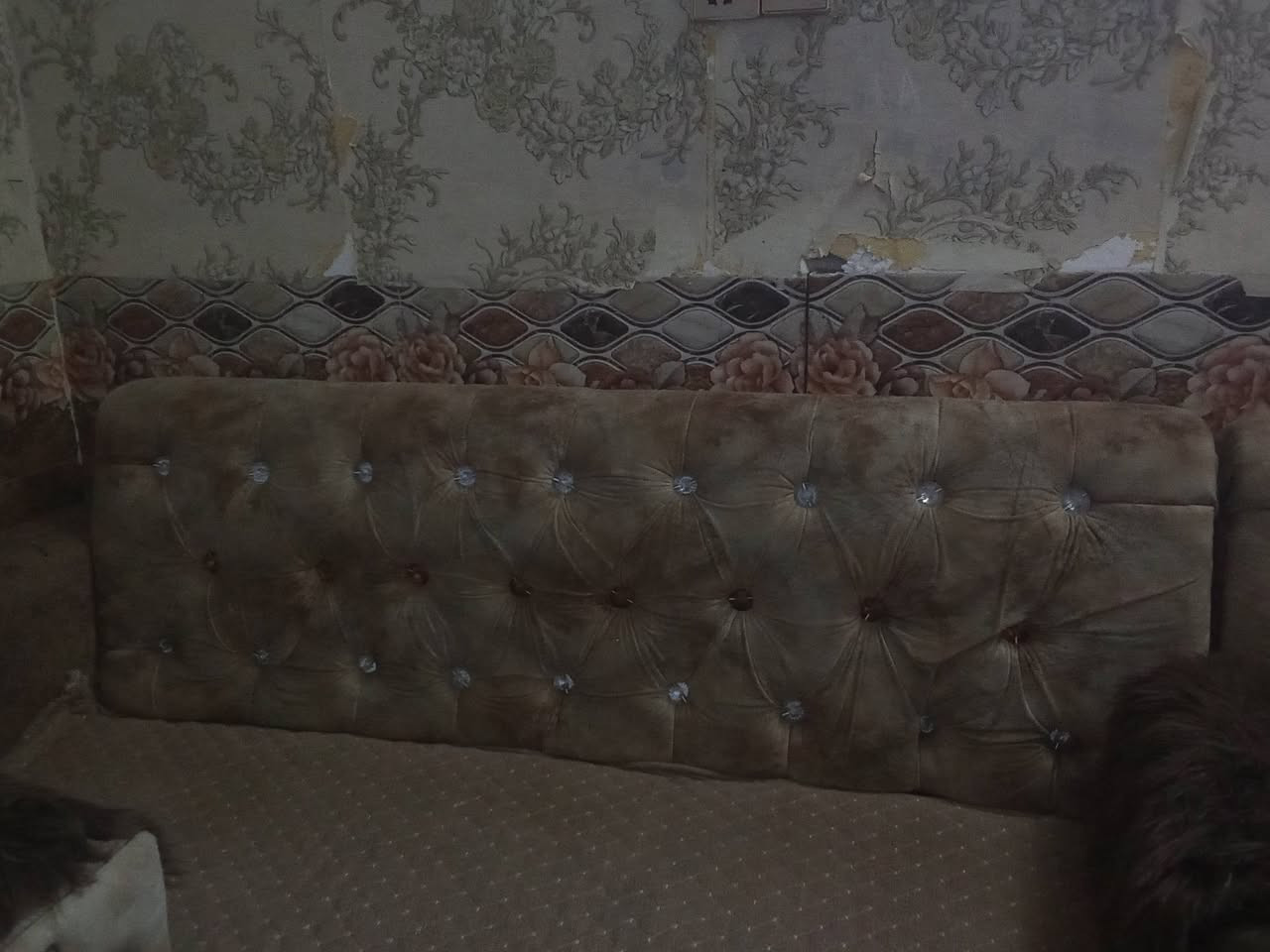 سلام عليكم عندي تخم تزكام للبيع 6قطع يحتوي على خزنه سريه مكان كربلاء امن الداخلي رقم ***********
