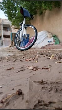 بسكليت • معلومات قليلة