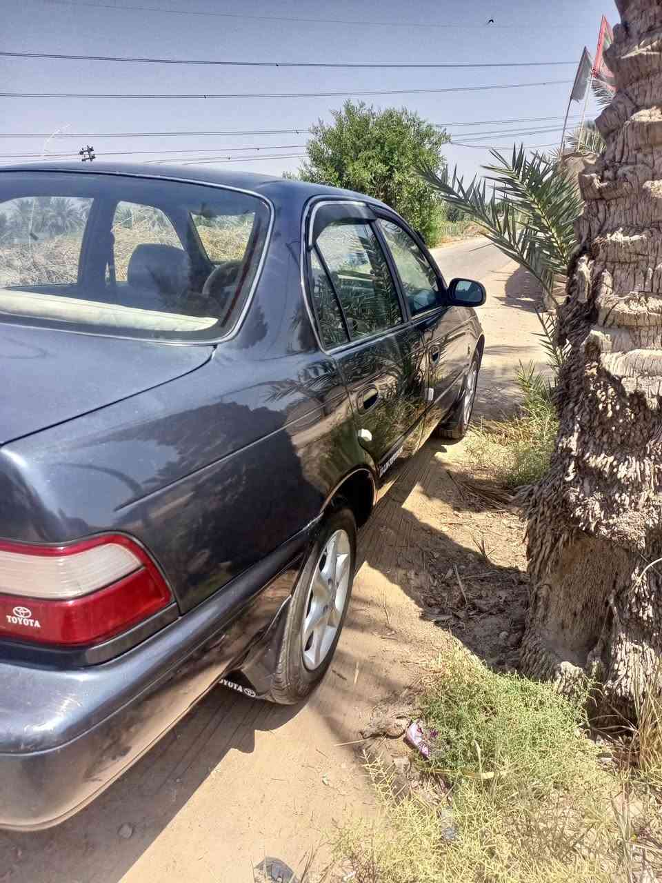 كورلا موديل 92 سياره جاهزه حداديه جديديه تبريد شغال تخم تاير جديد باتري جديد سياره بسمي تحويل ثاني يوم مكينتها بيها خيط بخار السعر خاص مكاني نجف عباسيه رقمي ***********
