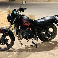 سولنك كلاسك • ١٧٥ • بدون أوراق