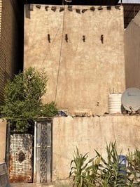 شارع فلسطين • ١٠٠م • قطعة أرض