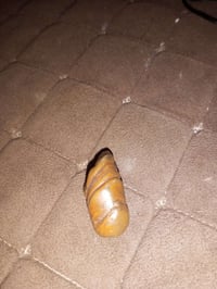 للبيع قيم واخذ 07759808039