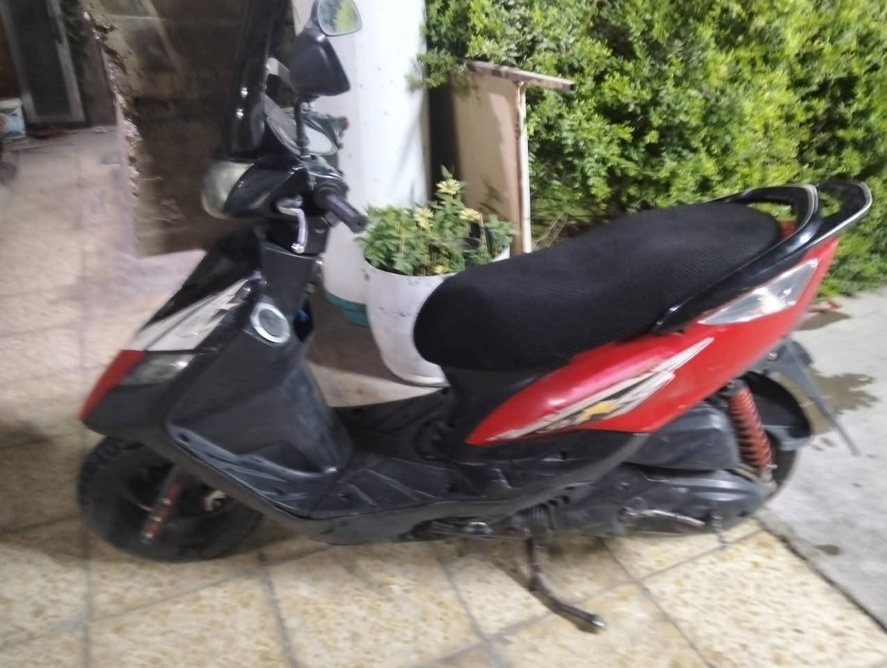 ثعلب ماكس
***********
