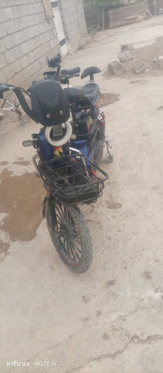 باسكيل • شحن • بلا عيوب