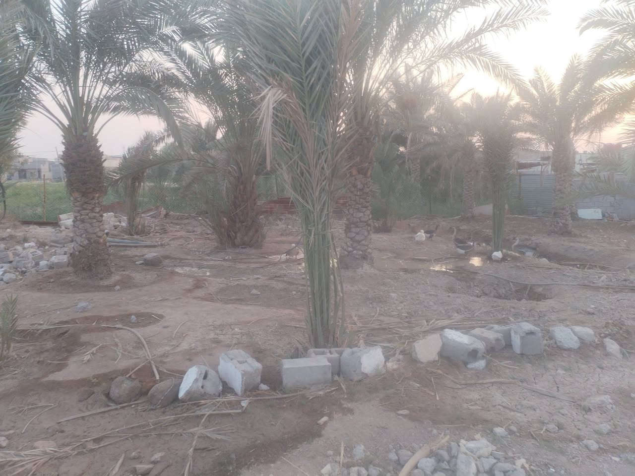 ابي الخصيب • ٨٠٠م • نهر جاري