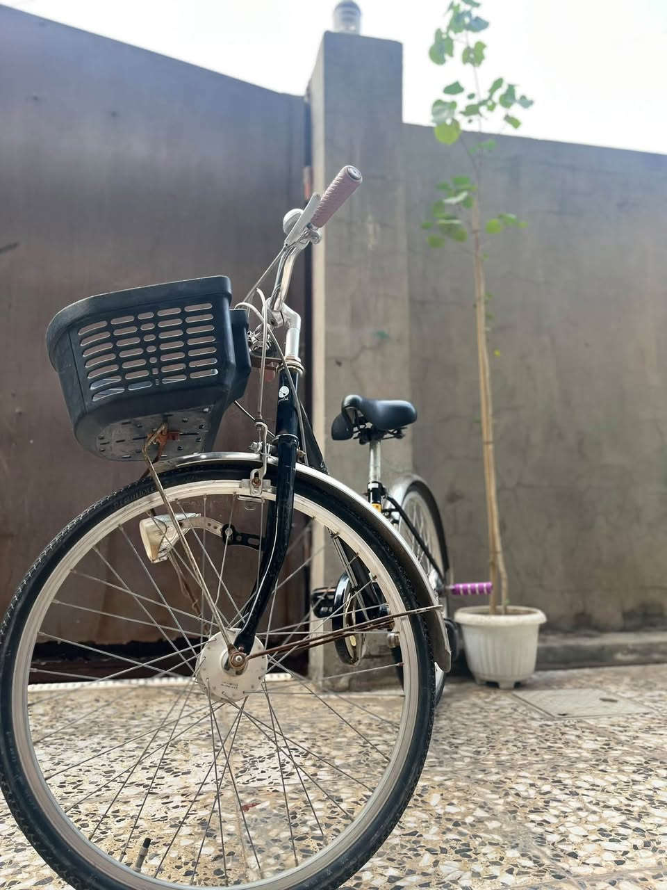 حجم 20 • بريك كامل • بابل شارع 80