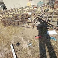 ستارة • ٩٠سم • أربيل