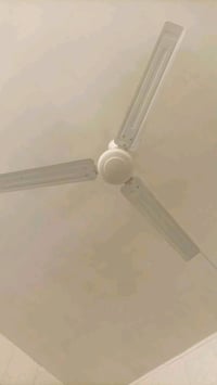 بن • بنكهة