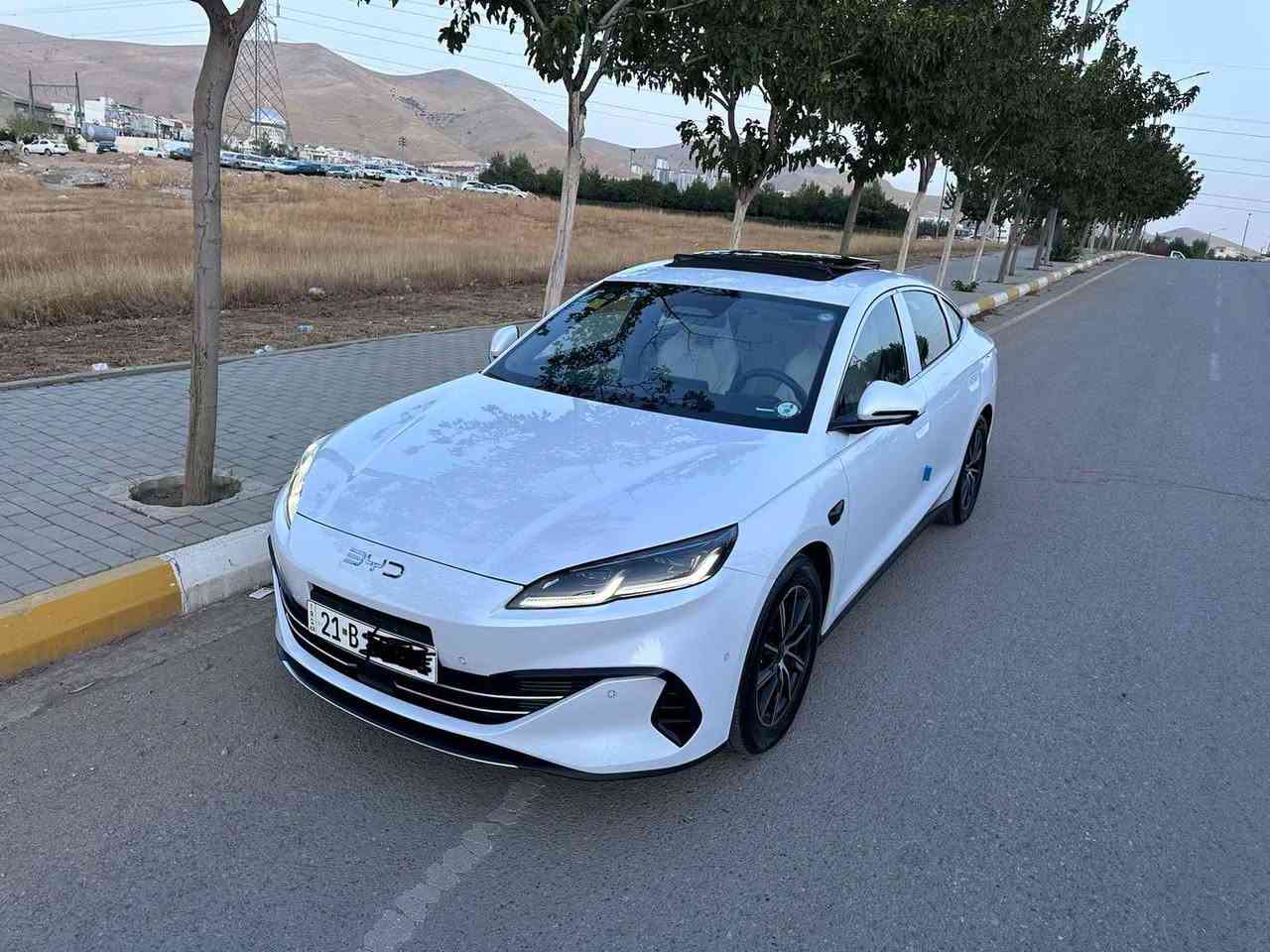 بي واي دي سيل06 • ٢٠٢٥ • بطارية ٨٠