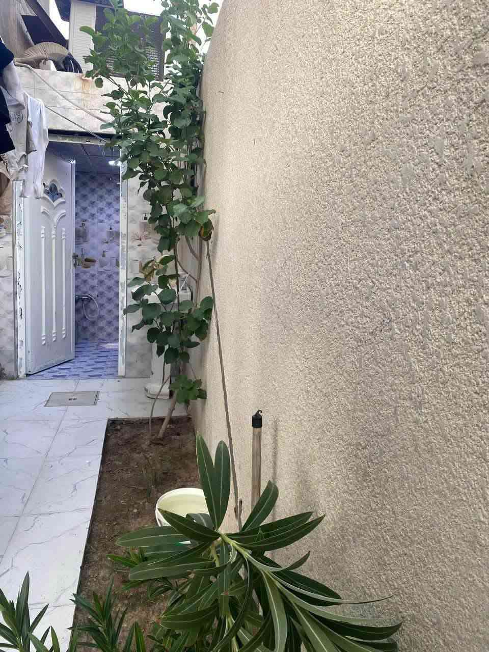 أبو الخصيب العوجة • 170م² • طابو ملك صرف