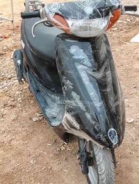 عصفوره مراوس • سلف • جاهزة