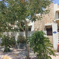 طابو • مجمع مدينتي • ٣٠٠م