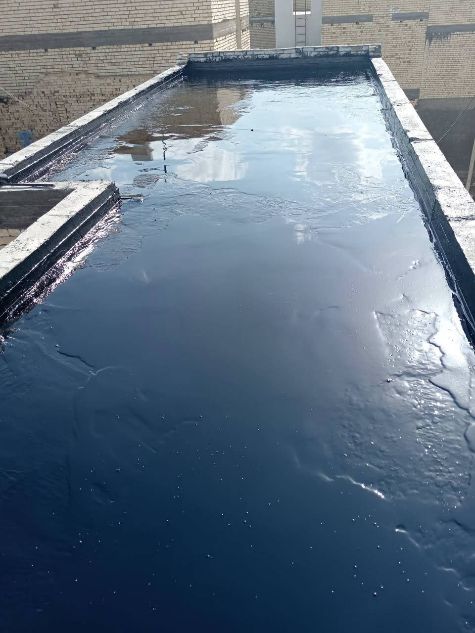 تعلن سكلة  المنكوشي لبيع الجير في كربلاء في اسعار مناسبه الاستفسار الارقام الهاتفيه /***********×××***********
