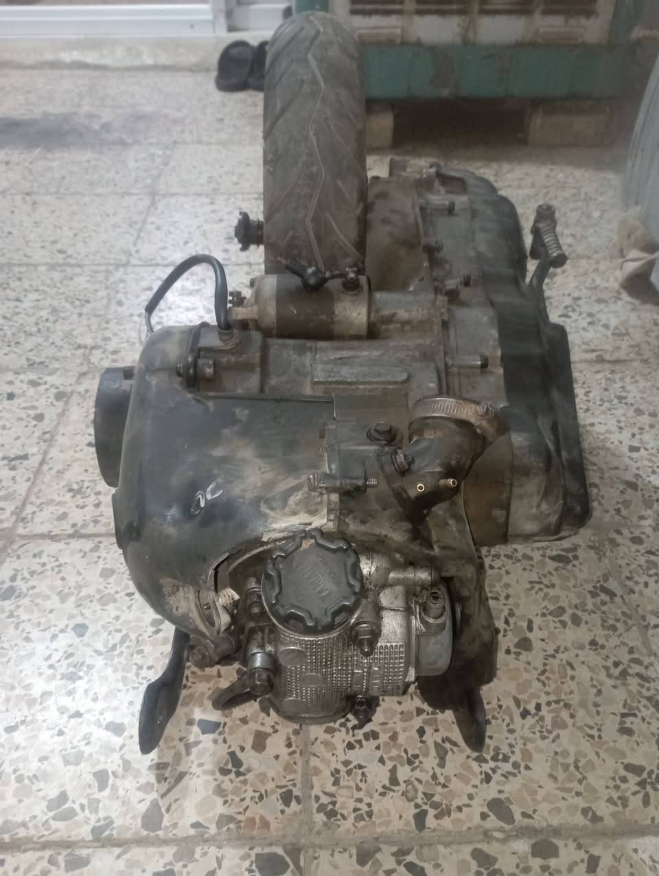 فراشه ماكس • ١٤٠ • طافيه