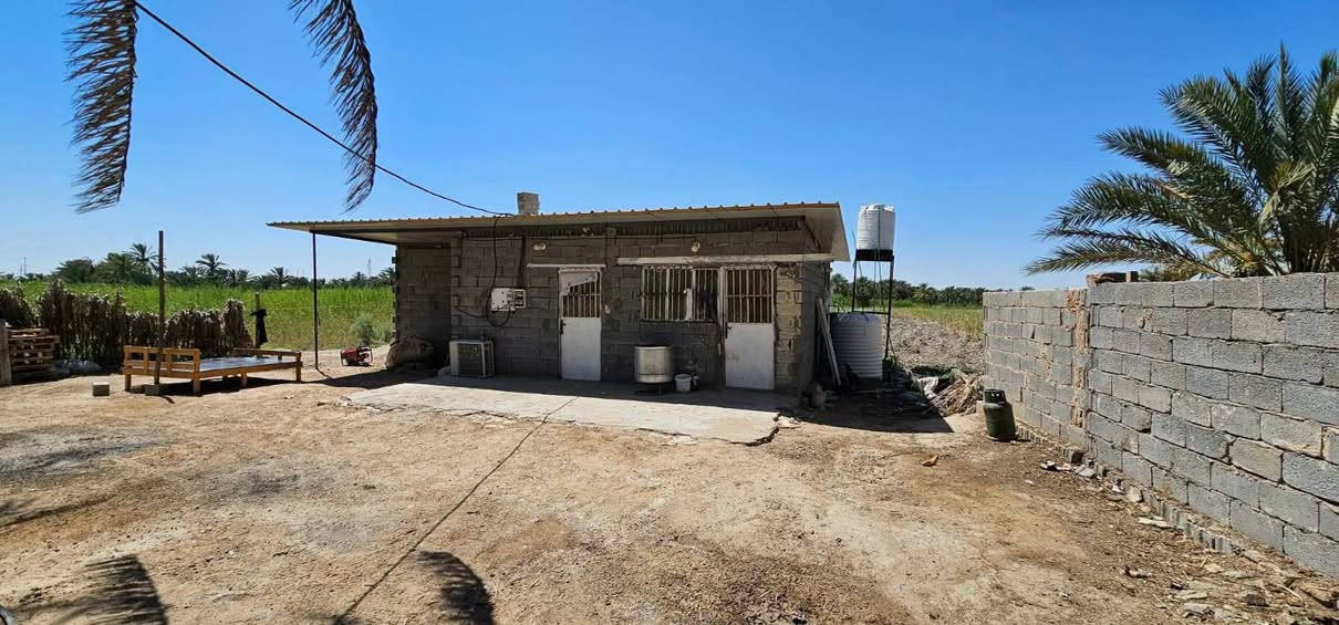 🏡 للبيع أرض مميزة على طريق كربلاء – بغداد

📍 الموقع: طريق كربلاء – بغداد، تيل 392، مجاورة محطة الأزهار.

📐 المساحة: دونمين وربع
📏 الواجهة: 28 متر، والباقي نزال.

✨ مميزات الموقع:
• تبعد حوالي 1 كم عن طريق الزوار
• تبعد فقط 200 متر عن التبليط
• قريبة من جميع الخدمات
• تحتوي على دار واستراحة
• جنس الأرض: سند 25 – تحويل أسهم

📌 موقع ممتاز للسكن والاستثمار، ومناسب للمشاريع والاستراحات.
♦️♦️السعر: 200 مليون وبيها مجال♦️♦️
📞 للاستفسار والحجز: ***********
