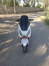 سكنس سترونك • مكفوله • بلدروز