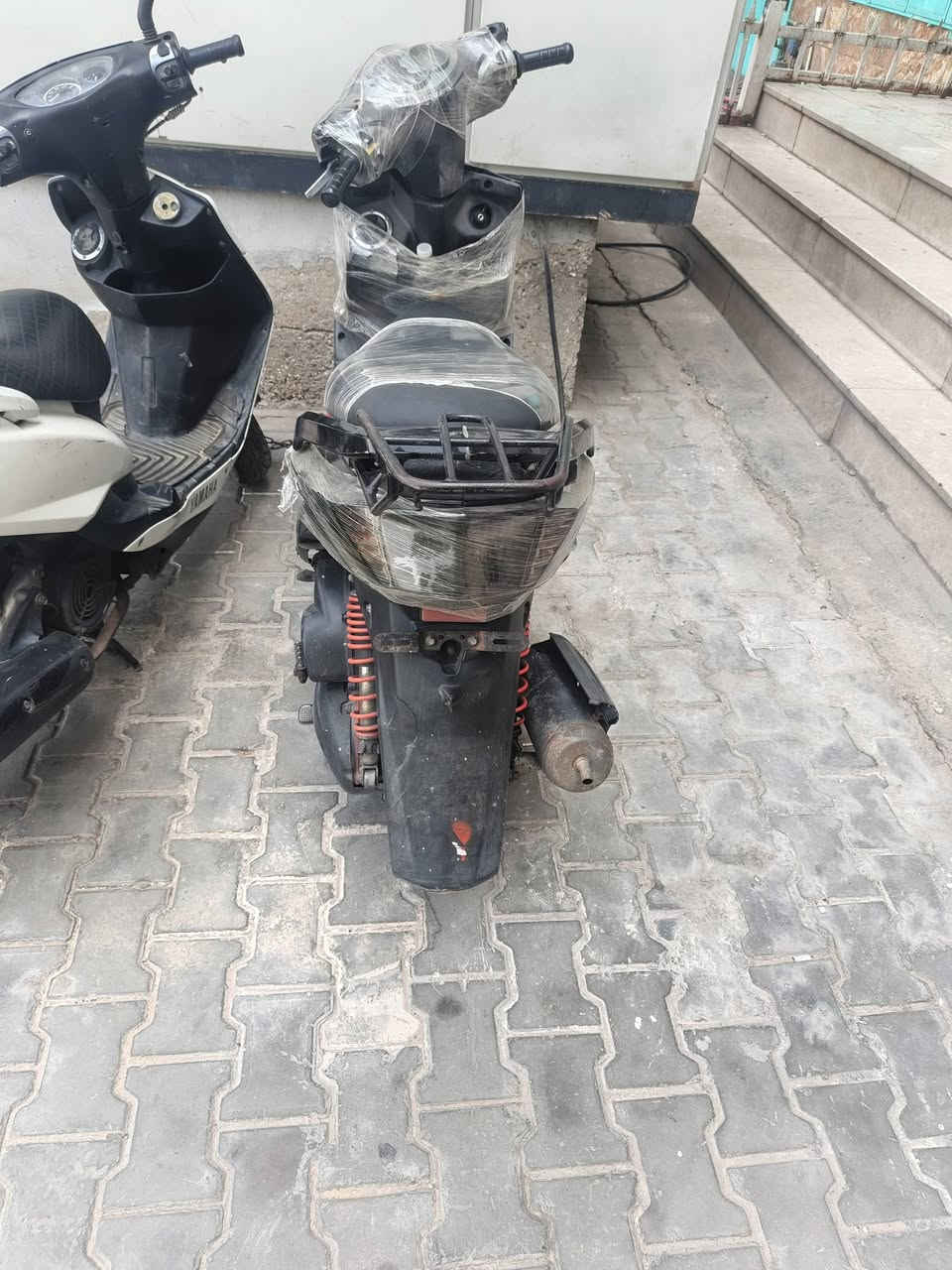دراجه سيجنس فحل***********
