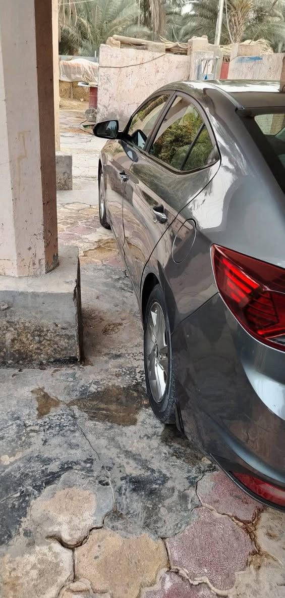 النترا • ٢٠١٩ • وارد امريكي