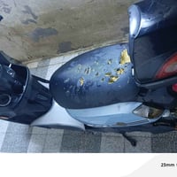 مكفولة • للبيع