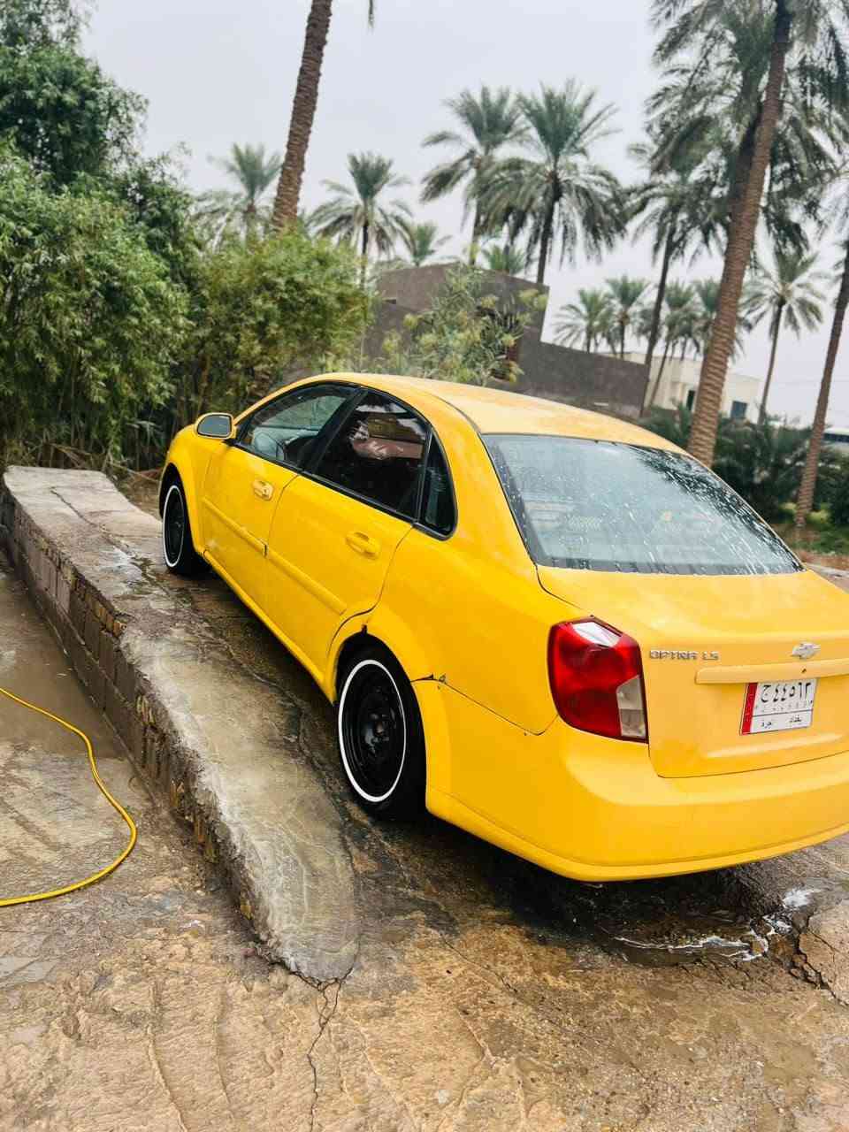 ابتره • ٢٠١٠ • بابل