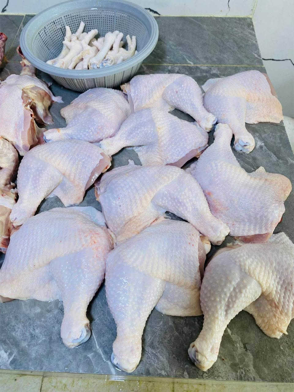 دجاج أبيض • طازج يومي • أسديرة الفهد