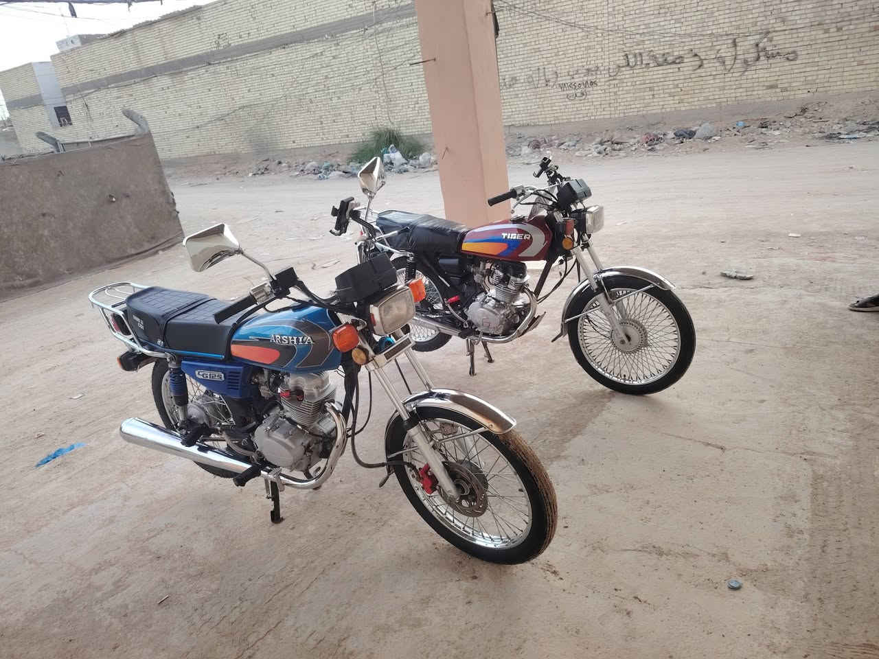 تايكر • ٢٠٢١ • سعر خاص