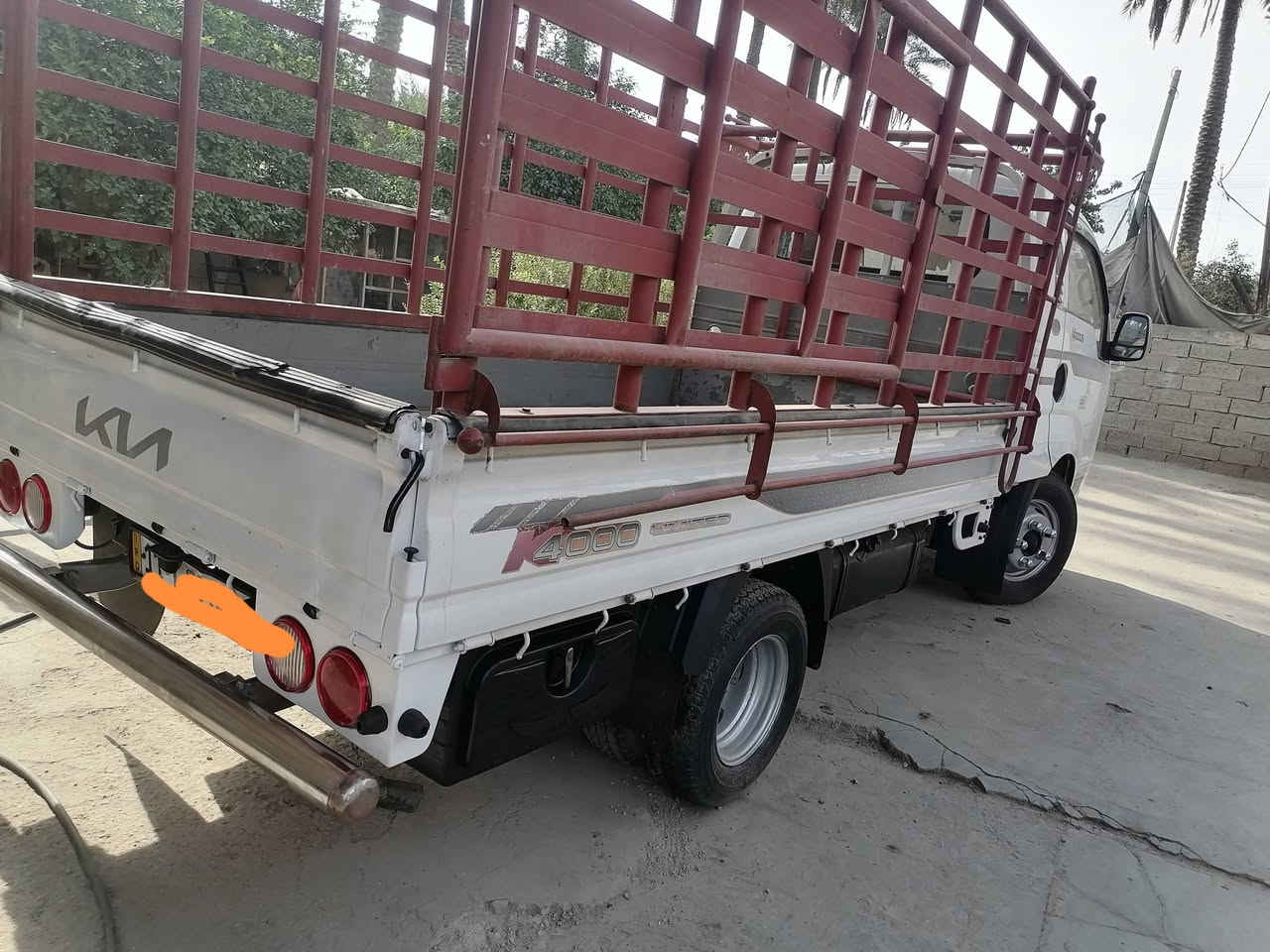 حمل فحل • ٢٠٢١ • ماشيه ٤٣ الف