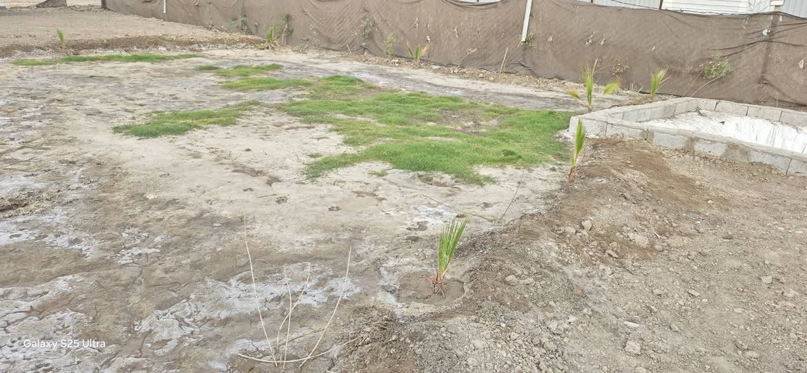 ارض للبيع مساحه815 متر وجها 15 سند 25 مداور طريق الدغارة ديوانيه خلف مطعم واثق بلمزارع   سعر25  ***********
