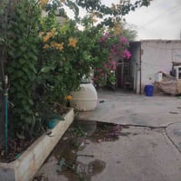 خانقين علياوا • ١٨٠م • غرفتين