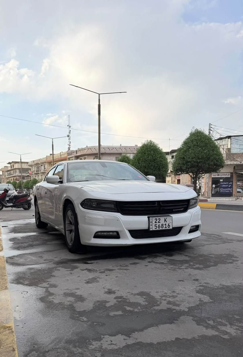 خليجية • ٢٠١٩ • ماشيه ٨٠٠٠٠