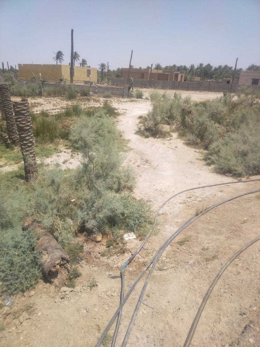 السلام عليكم قطعه زراعيه للبيع حي العرب المساحه 475  يعني تقريبا 500 متر مباشره عالشارع التبليط السعر 13 وبيهه مجال***********
