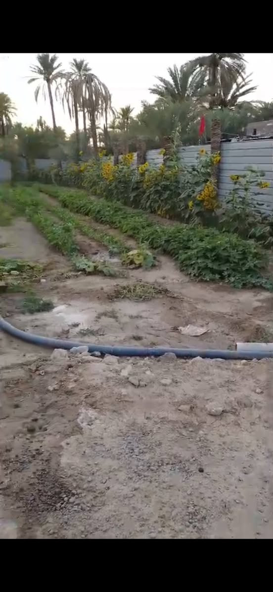 مزرعة وبداخلها بيت للبيع
مزرعة للبيع 1500 متر مع بيت 200 متر يحتوي على غرفتين نوم وصالة واستقبال قياس الاستقبال 7×4 متر وحولي على طول البيت
قرب سيطرة أم الهوى الرغيلة عامود 312 قرب طريق الزوار تتوفر كافة الخدمات
السعر 175 وبي مجال بسيط سند 25 مفروزة بأسم المالك
للتواصل والاستفسار ارجو مراسلتنا واتساب ***********
نحيطكم علماً لانستقبل الاتصالات المباشرة راسلنا واتساب وتدلل
