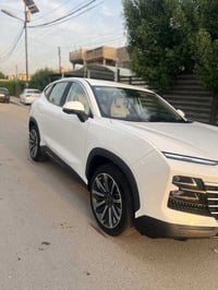 جيتور داشينك • ٢٠٢٤ • ماشيه ٥٢ الف
