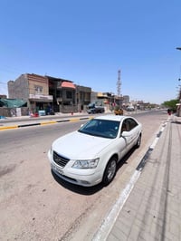 سوناتا المقدس • ٢٠١٤ • بصرة