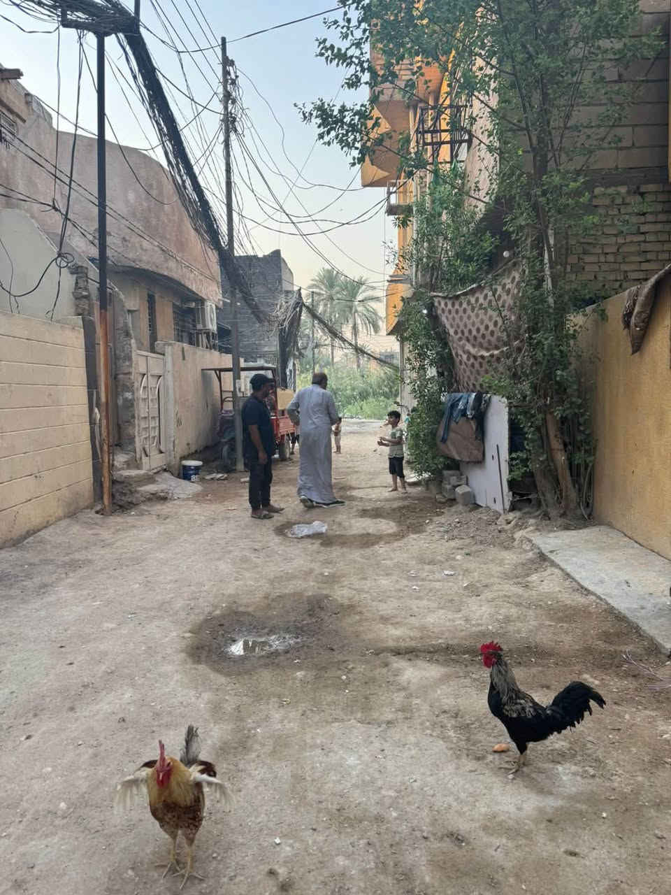 للبيع بيت مساحه 100م طابق واحد
طابو زراعي سند 25
يتكون من: /صاله /استقبال/ مطبخ/ غرفة نوم
الموقع :كربلاء / البوبيات / قرب اسواق برتقاله/
قريب على الامام يصلح سكن او حسينية 
للاستفسار: ***********
***********
