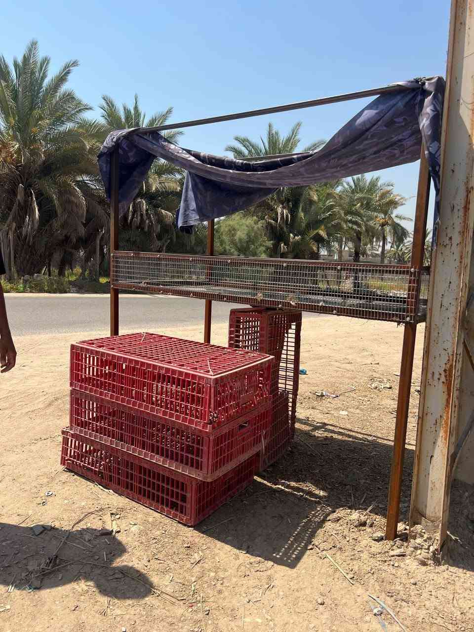 سلام عليكم
غراض دجاج كامله هلاسه جديده سنكي طباخ 4قفاص مبرده ميزان قفص حديد تانكي معالف 
مكاني بابل محاويل 
رقم /***********
