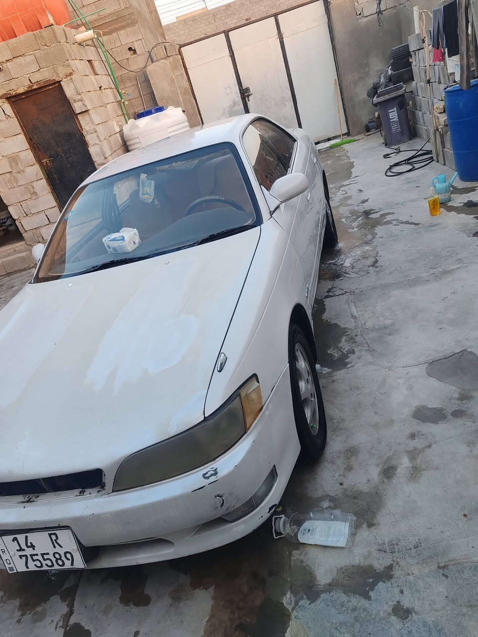مارك موديل 2000 مكفوله من كصه ونقل جثه وعيب شرعي ب أسمي سعر 58 المكان بصره زبير رقم الهاتف ***********@
