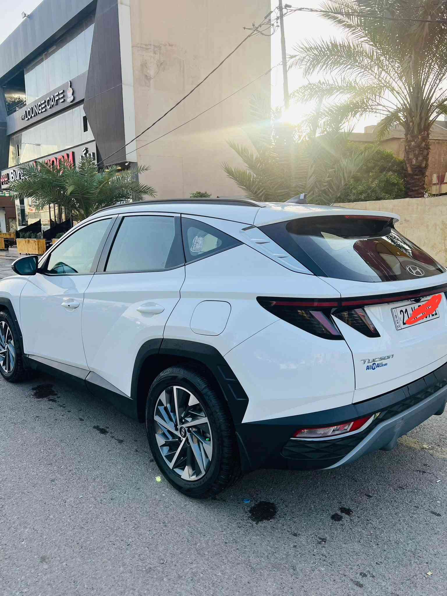 توسان • ٢٠٢٤ • بدون صبغ