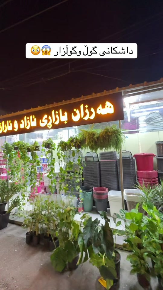 زوو وەرن بۆ ئەم داشکانە گەورەیە 😁♥️#هەرزان_بازاری_ئازاد_و_ئاراز😁🔥 #هەرزان_بازاری_ئازاد_و_ئاراز😁🔥 #foryou #fyp #azad_araz 

نص مكتوب في الصور:
- داشکانی گوڵ وگوڵزار 😳😱