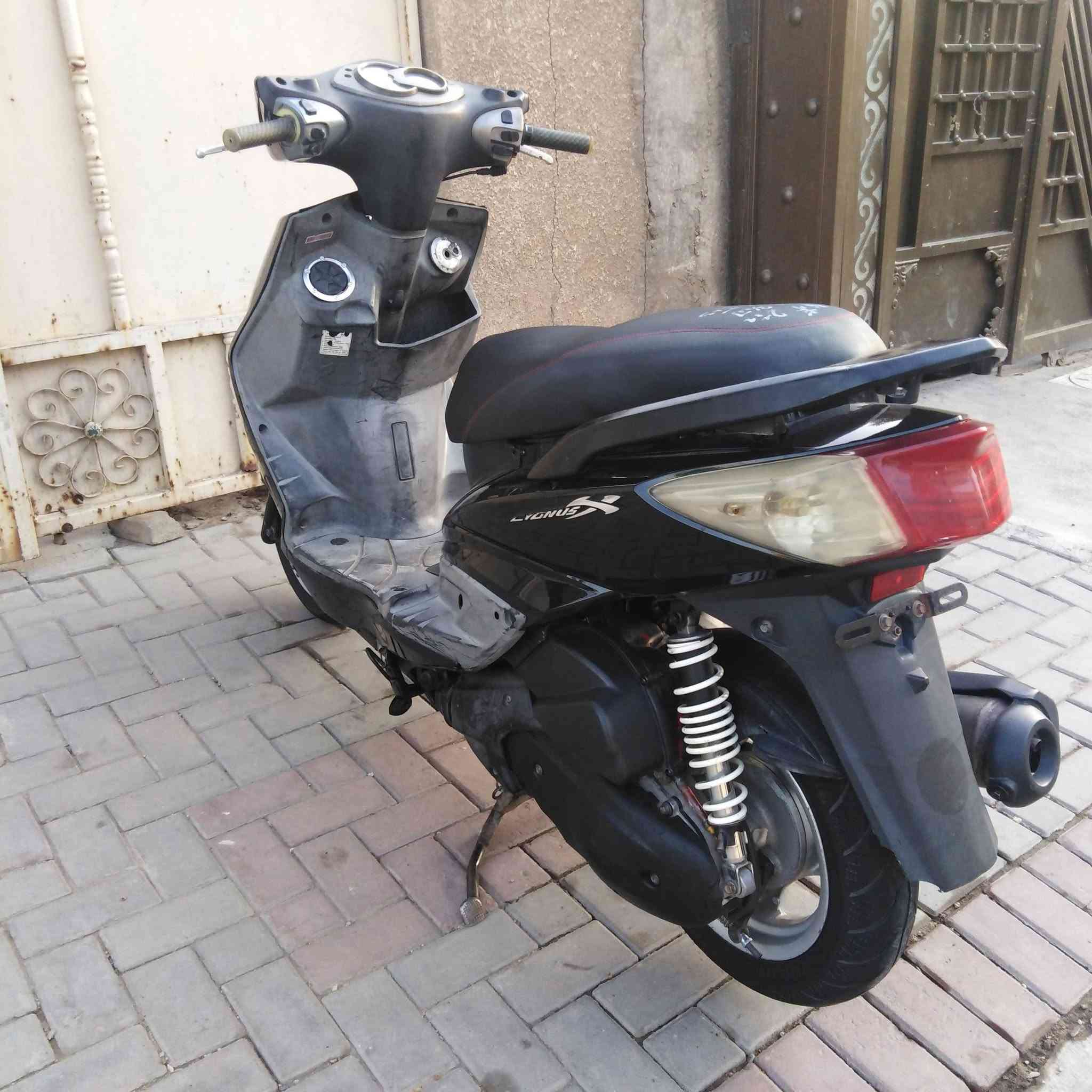 سكنس فحل • بلاديه • أوراق