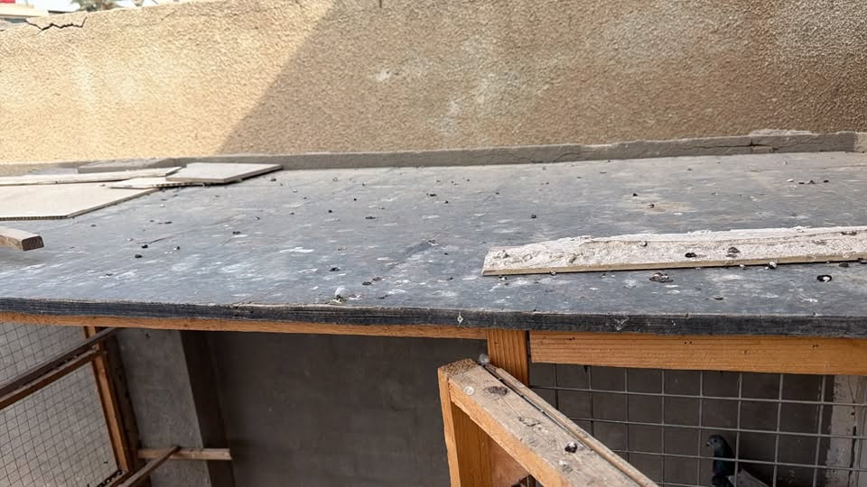 طبلات • ما بيهم ضرر • رجل وحدة
