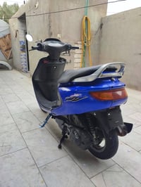 فراشة • جديدة • فحص