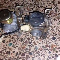 كابريترات بلادية • نضيفة • الشعب