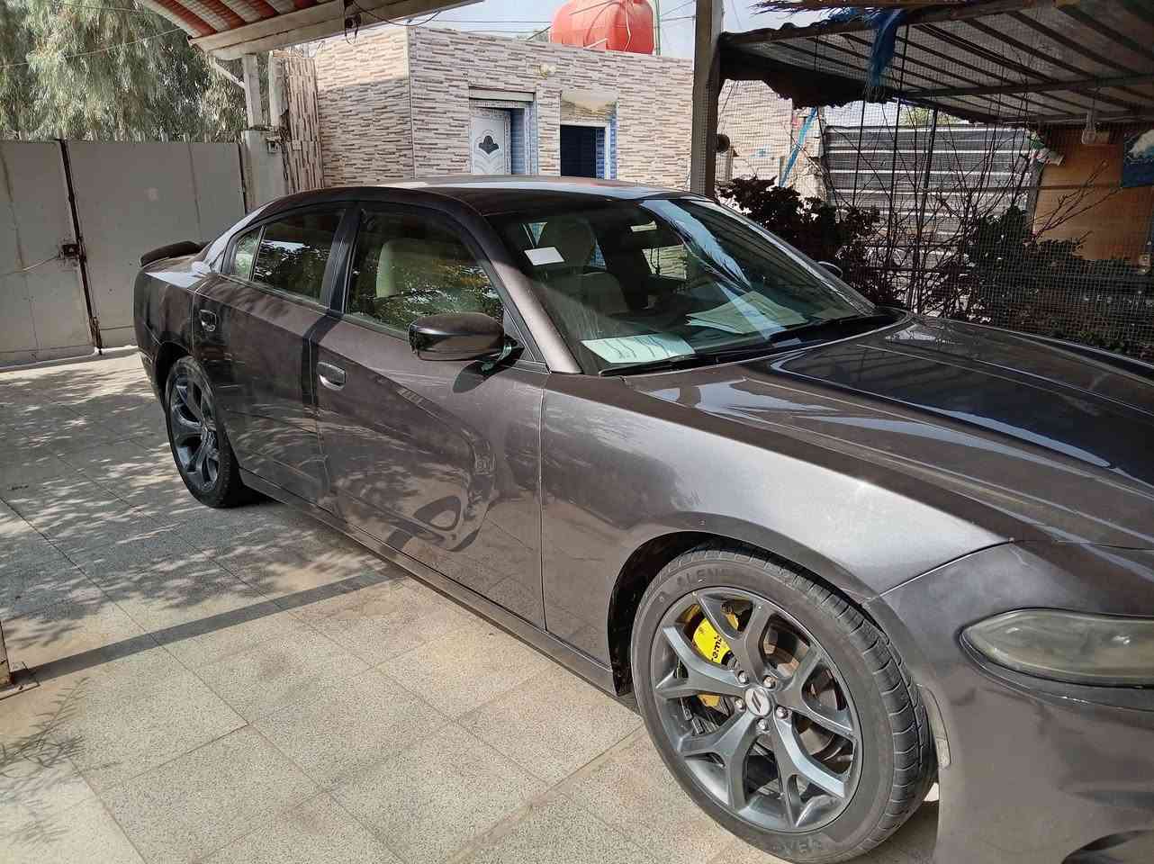 ستاركس • ٢٠١٩ • بدون ايرباك