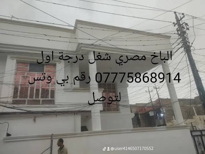 لباخ مصري • درجة أولى • متفرغ