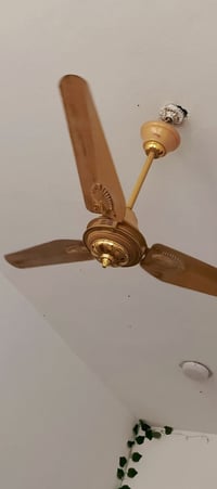 باكستانية • جديدة • مجال