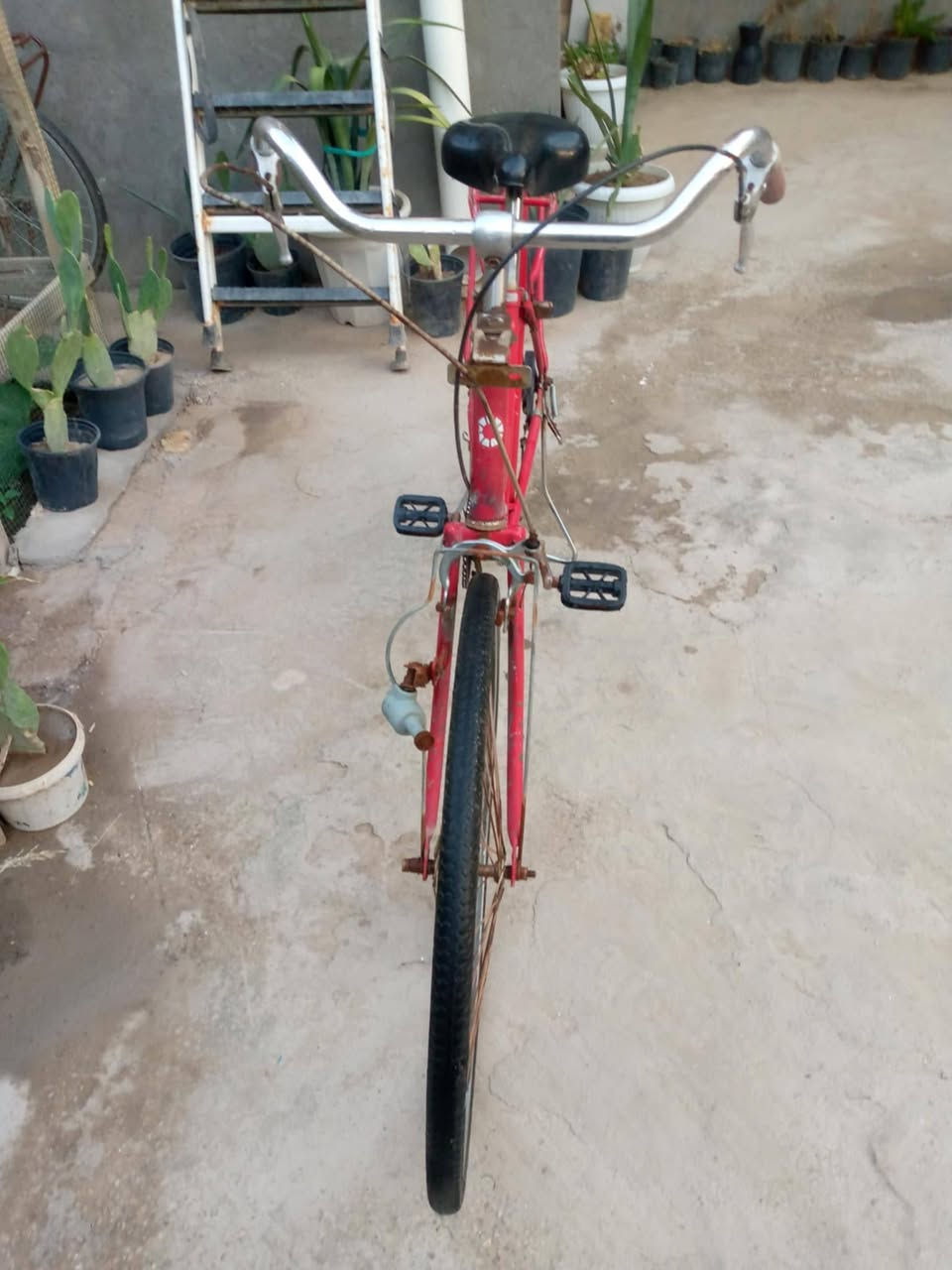 سلام عليكم 
باسكلات للبيع العدد 2🚴🚲
سعرهن ثنيناتهن ب120
الواحد ب60  وبيهن مجال 
رقم الهاتف لاستفسار 📱 ***********
