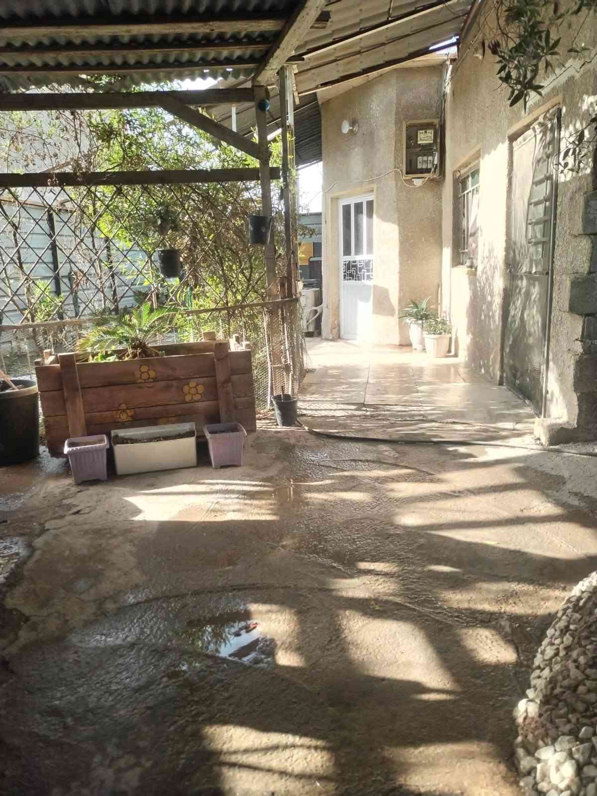 بيت ابو دشير • بالقسط • تشجير ٤٠٠م
